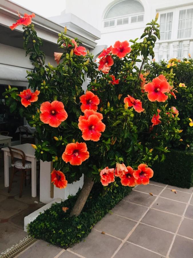 Our Hermanus House ภายนอก รูปภาพ