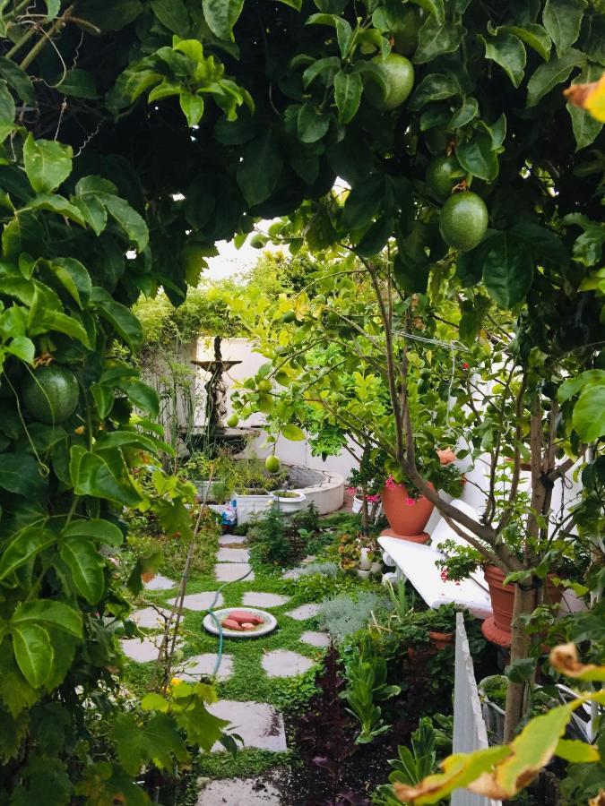 Our Hermanus House ภายนอก รูปภาพ